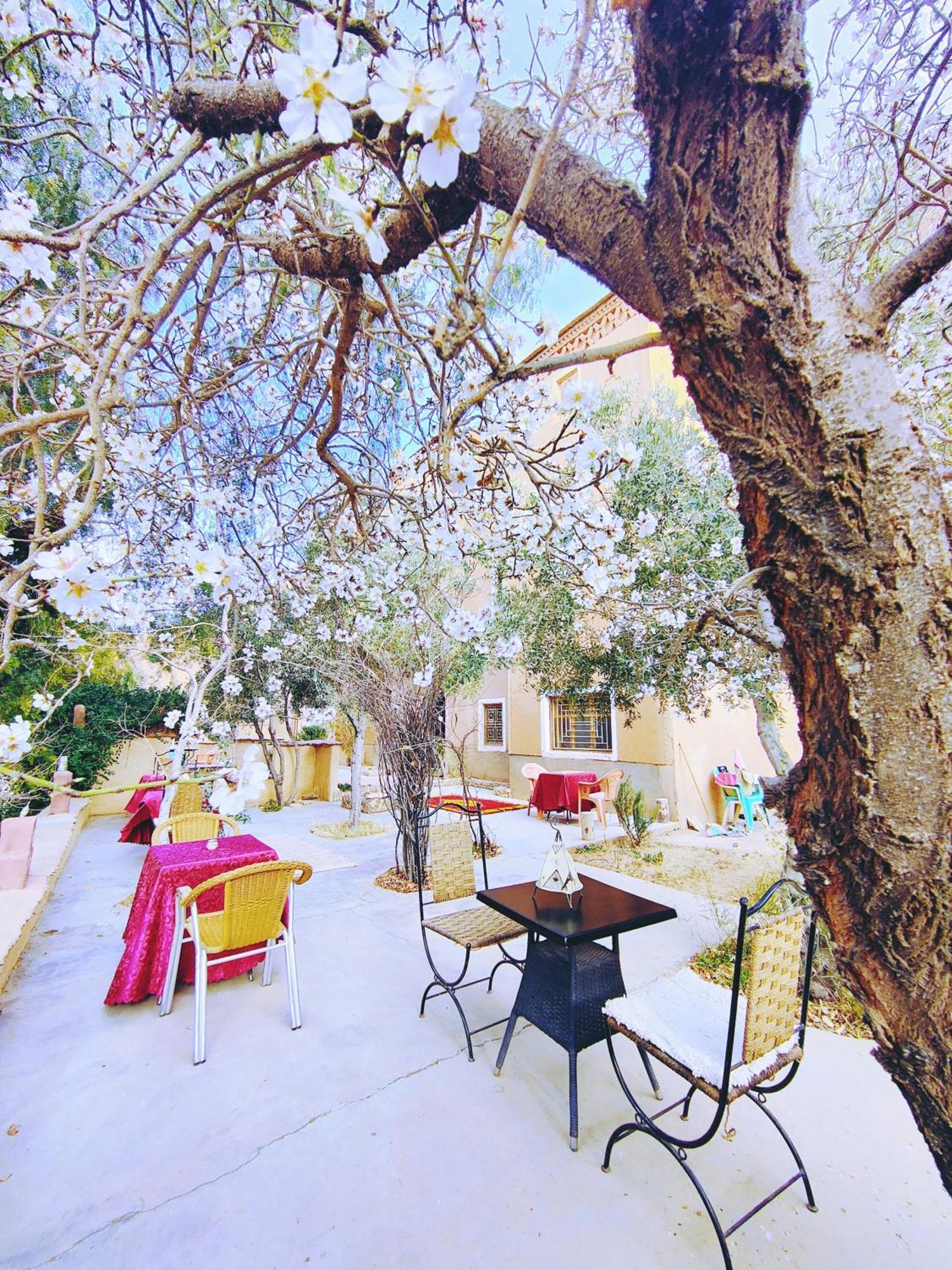 Riad Kasbah Des Roches Akhendachou n'Ait Ouffi ภายนอก รูปภาพ